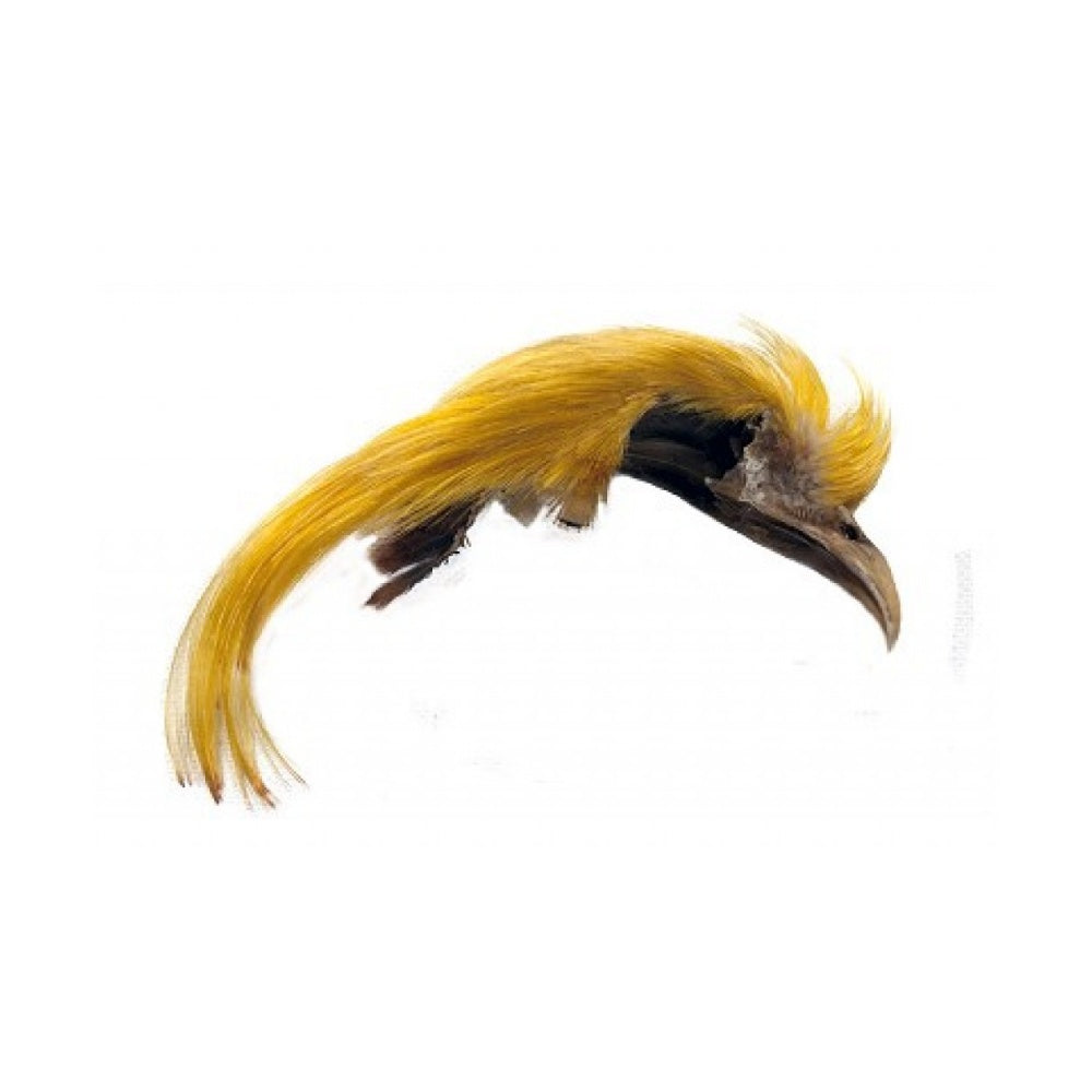 Veniard Golden Pheasant Topping Crest – Ballina Angling Centre