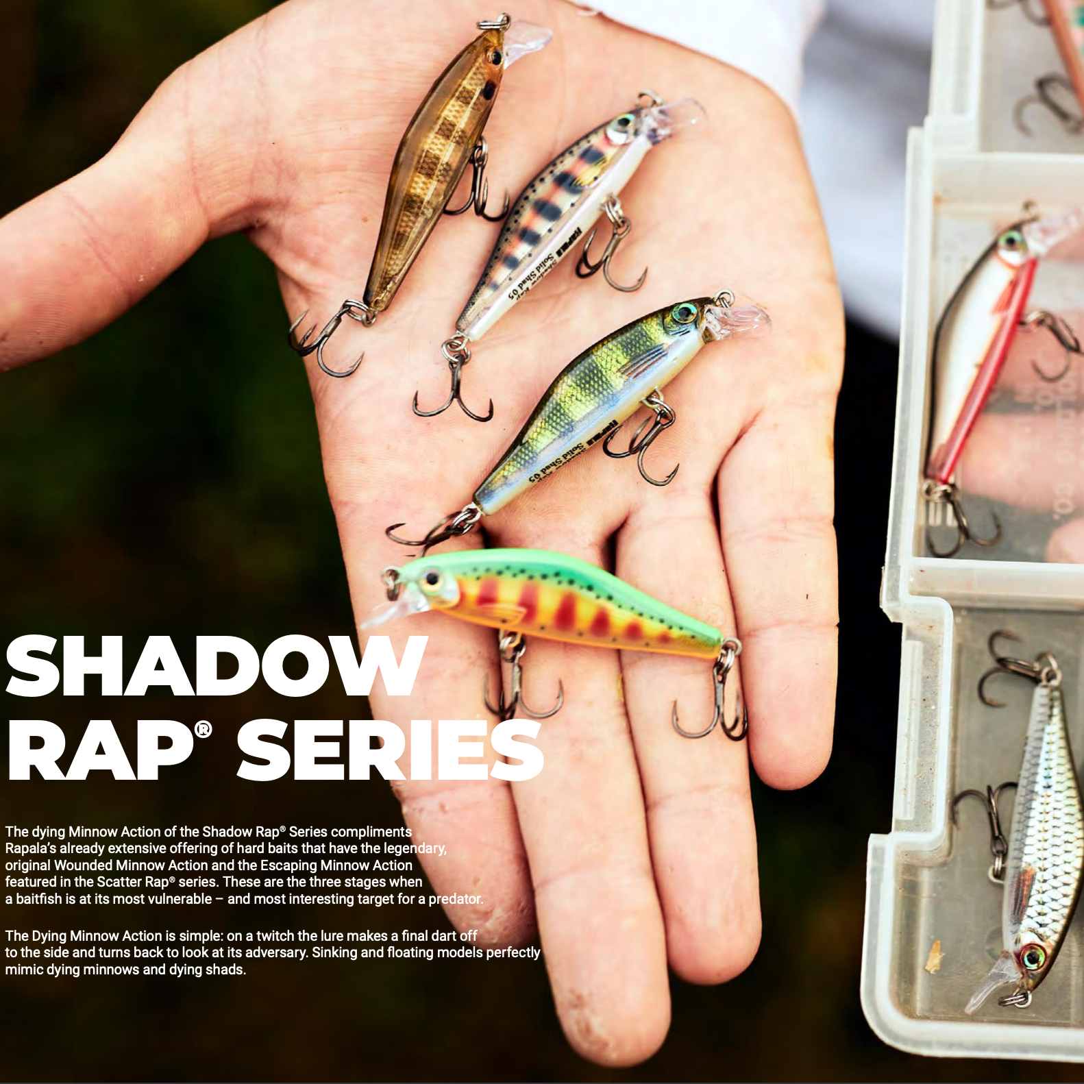 Shadow Rap Series – Ballina Angling Centre