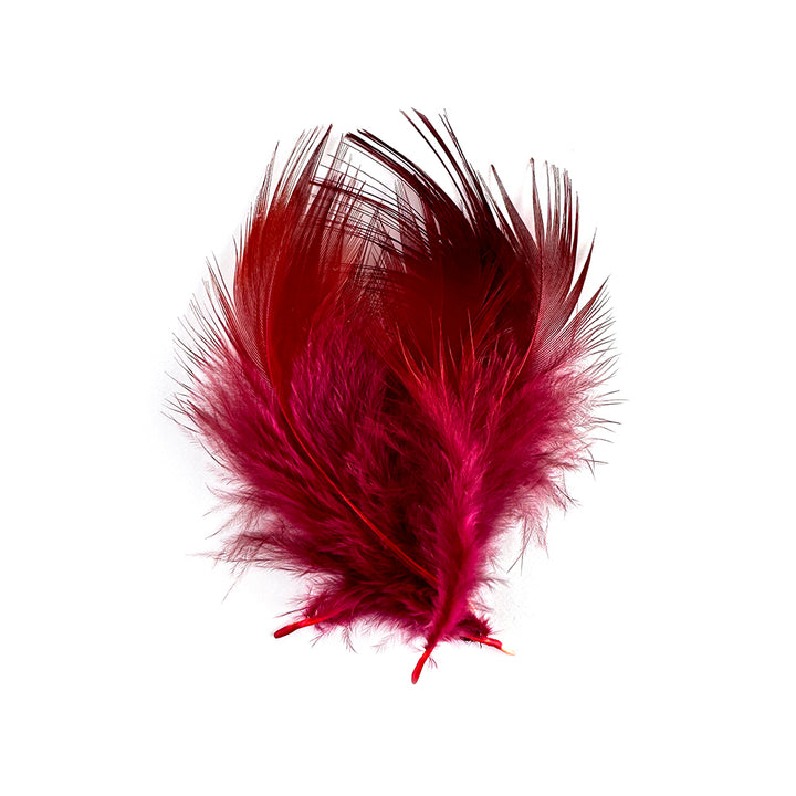 Golden Pheasant Body Feathers