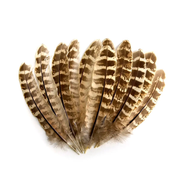 Veniard Hen Pheasant Wing Quills