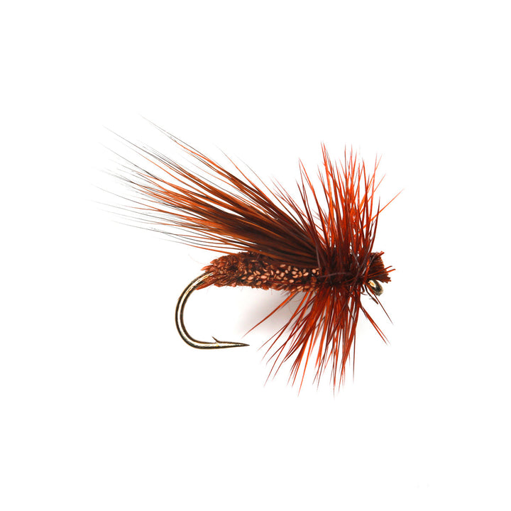 DHB FIERY BROWN SEDGE