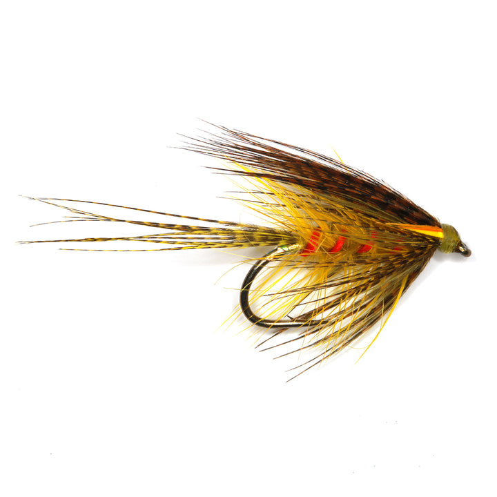 RED RIBBED OLIVE DABBLER