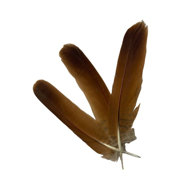 Veniard English Partridge Brown Tails