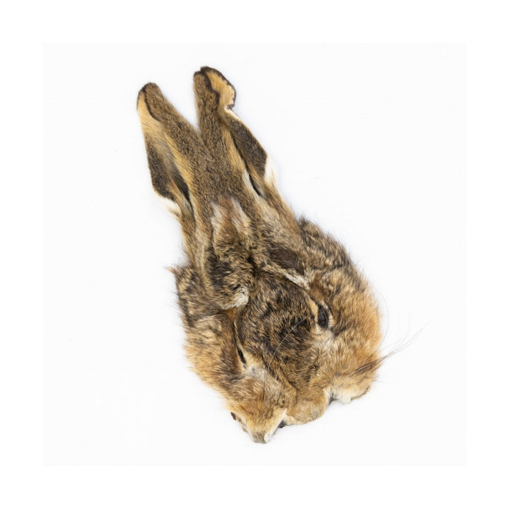 Veniard Hare Mask